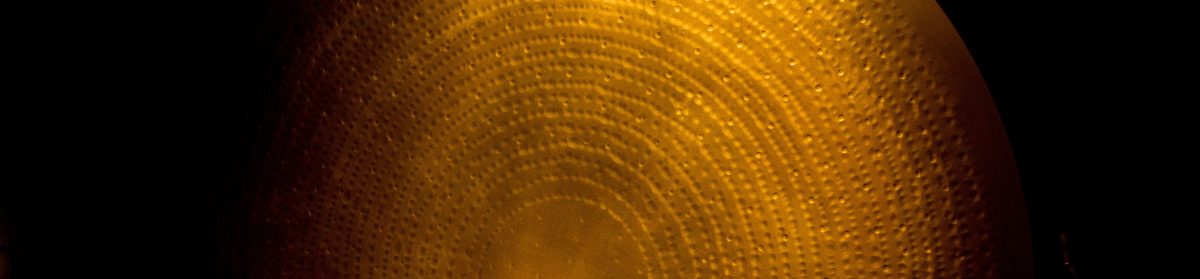 Elvira Yoga and Gong